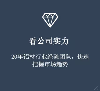 鼎新铝业